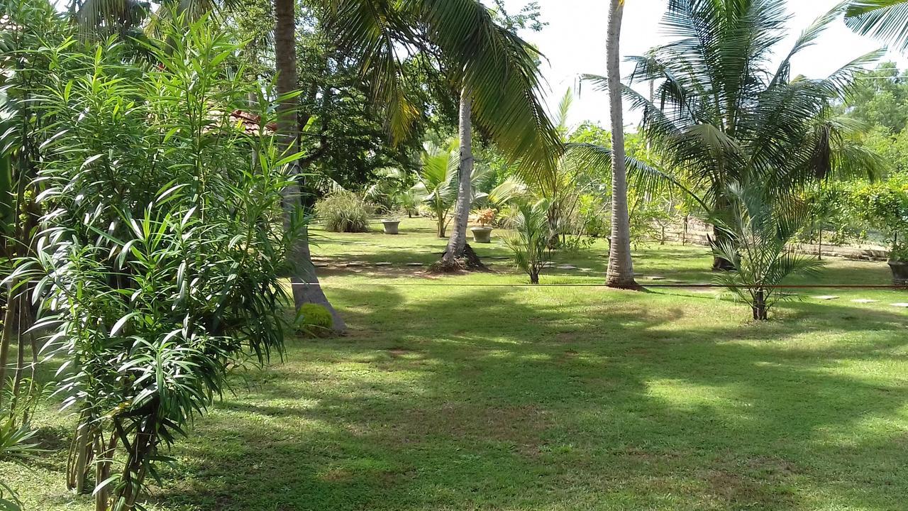 Chillenjoy Cabanas & Restaurant Tangalle Eksteriør bilde